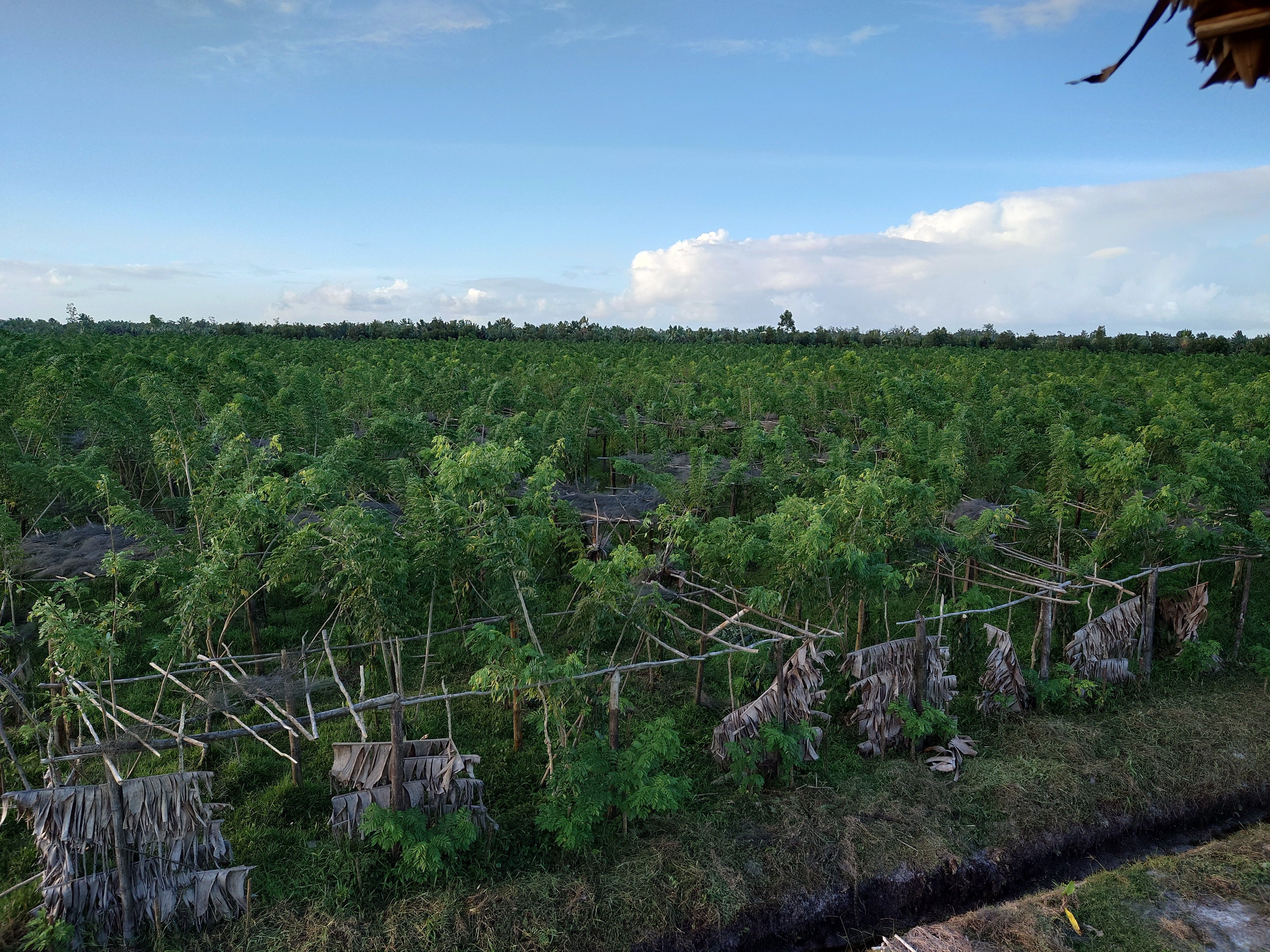 Ethical and Sustainable Practices